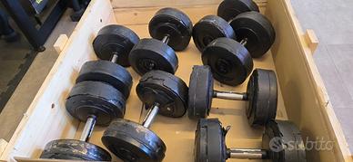 Coppie di Manubri Technogym da 34 a 40 kg