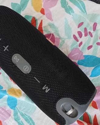 CASSA BLUETOOTH 