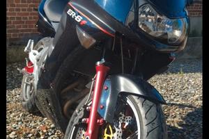 Kawasaki er6f