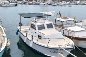 Barca Pilotina Diesel