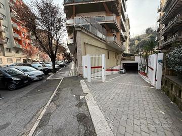 Cipro - ultime disponibilità - box auto nuova cost