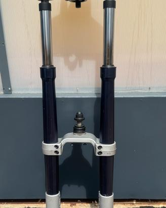 Forcella Anteriore BMW R 1150 GS