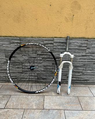FORCELLA+CERCHIO 29