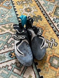 scarpa drago