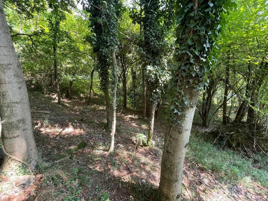 Terreno di 1118 m² a Annone di Brianza - Vista 5
