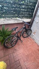 treck bicicletta