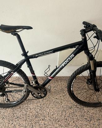 MTB Focus Black Forest 26"
