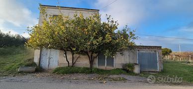 Ortona-Masseria adibita a magazzino