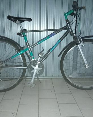 MTB BIANCHI 