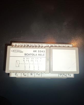 SCATOLA RELE' BITRON VIDEO AK 5343