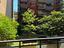 Immagine 14