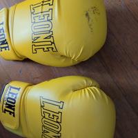 guantoni da box Leone