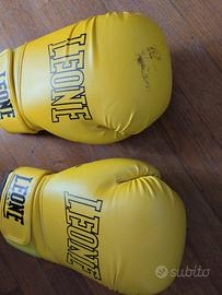 guantoni da box Leone
