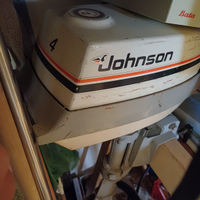Motore Johnson fuoribordo 2 cilindri albero lungo