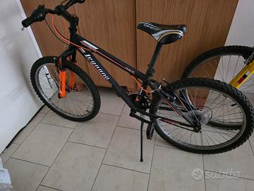 Bicicletta