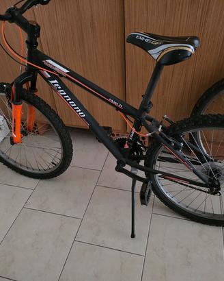 Bicicletta