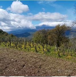 Terreno Panoramico vista Etna