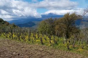Terreno Panoramico vista Etna
