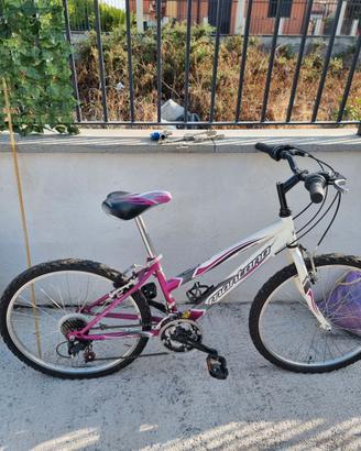 bici con cambio shimano maschile e femminile