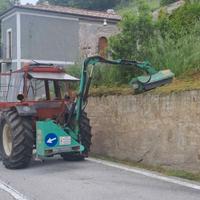 Braccio decespugliatore PETTA GP del 2017