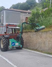 Braccio decespugliatore PETTA GP del 2017