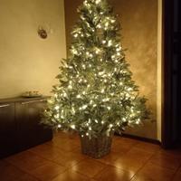 albero di natale
