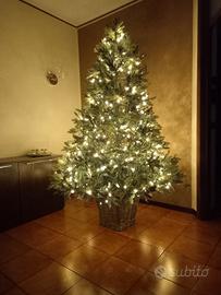 albero di natale