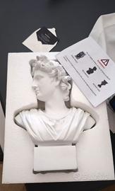 busto di Apollo bellimbusto 