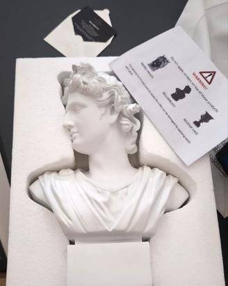 busto di Apollo bellimbusto 