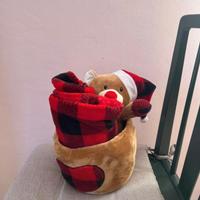 Orsetto peluche con cestino e coperta natalizio