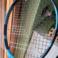 Babolat Pure Drive 2026 100 300g L3 