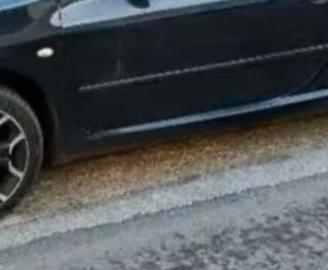 Ricambi 307 cc