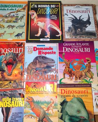 13 Libri dinosauri per bambini + poster