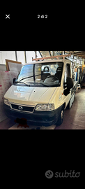 Fiat ducato cassonato carico basso