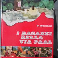I ragazzi della via Pal. Libro per adolescenti 