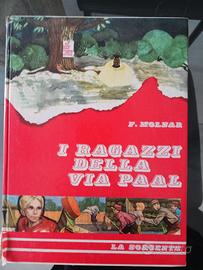 I ragazzi della via Pal. Libro per adolescenti 