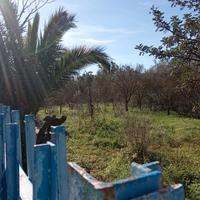 Terreno agricolo irriguo