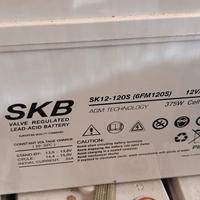 batteria skf 100 ah
