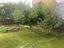 Immagine 21