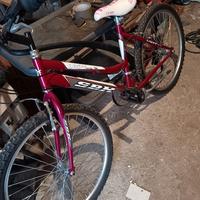 Bicicletta Lady MTB