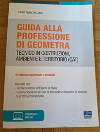 Guida alla professione di Geometra _Esame di stato