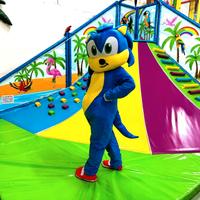 Costumi Mascotte x Animazione e Feste per Bambini