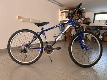 Bicicletta Mountain Bike