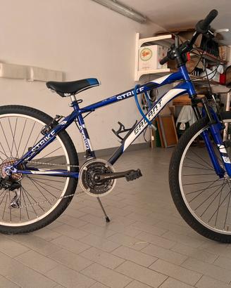 Bicicletta Mountain Bike