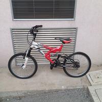 Bicicletta da ragazzo cerchio 20