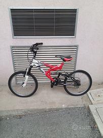 Bicicletta da ragazzo cerchio 20