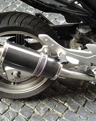 Short Carbon Roadsitalia Honda CBF 500