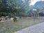 Immagine 29
