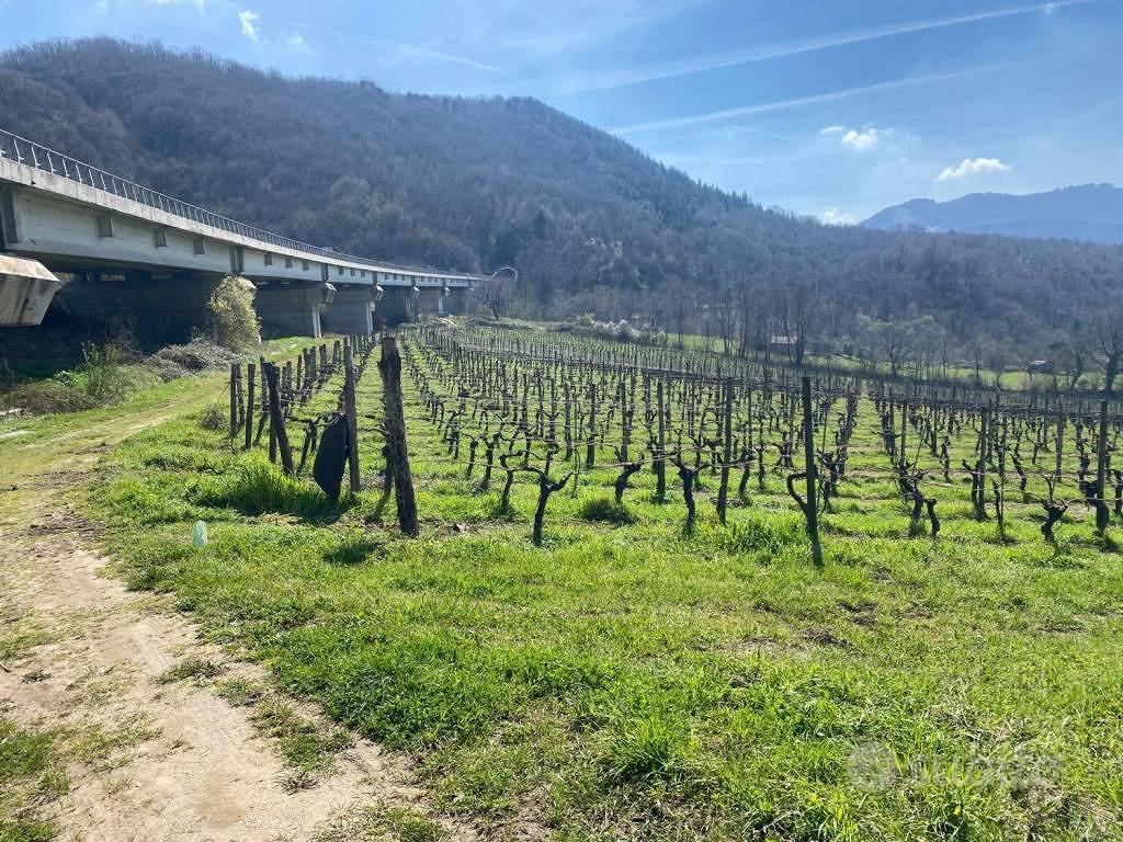 Terreno di 9000 m² a Parolise - Vista 4