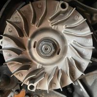 Contropuleggia Malossi